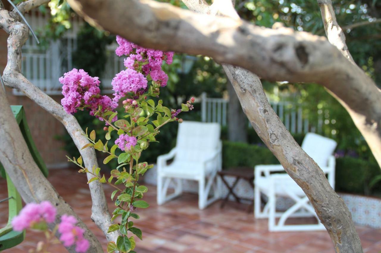 グラナダ El Jardin De La Abuelaヴィラ エクステリア 写真