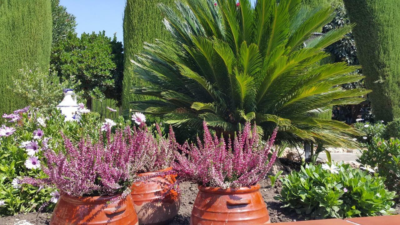 グラナダ El Jardin De La Abuelaヴィラ エクステリア 写真