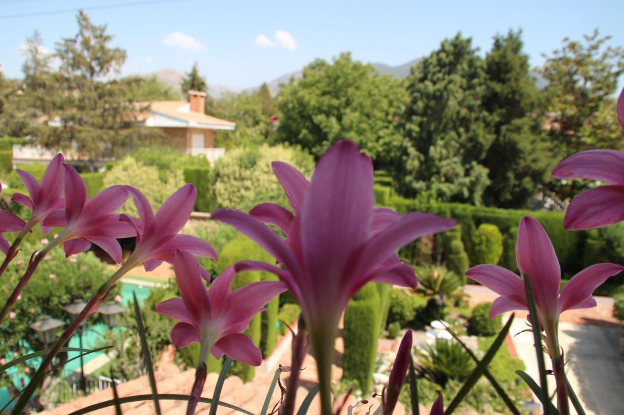 グラナダ El Jardin De La Abuelaヴィラ エクステリア 写真