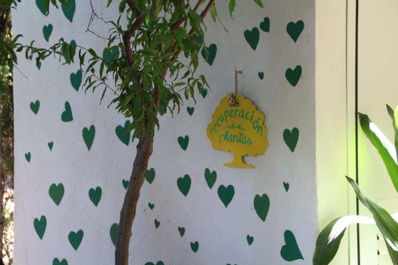 グラナダ El Jardin De La Abuelaヴィラ エクステリア 写真